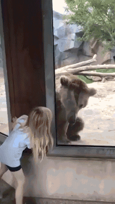 精选段子:公交车上手机掉了,为了身边的妹纸我硬是没捡