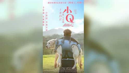 电影《 小q》致敬终其一生服务于人类的超级英雄