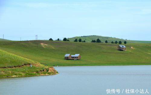 养老保险滞纳金