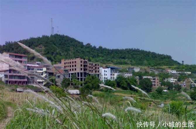 重庆人没出过重庆