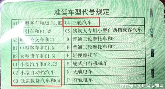 c5驾照能开什么车