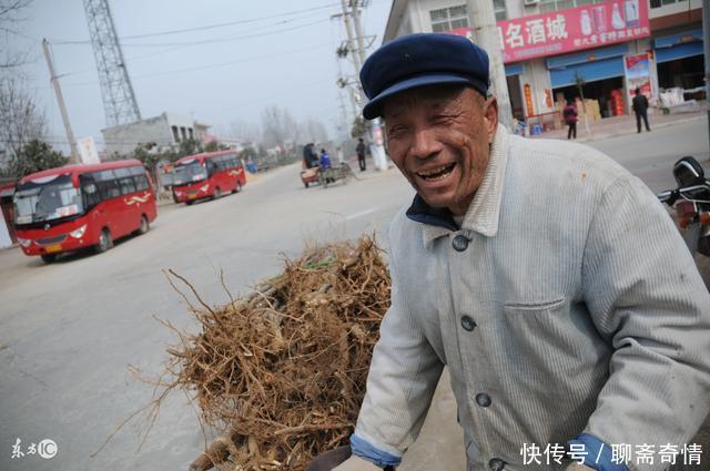 黄鼠狼进宅，老汉以为它来者不善，黄鼠狼吐出一个灵芝，他乐坏了