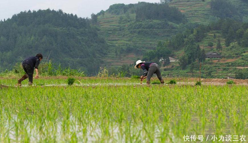 从今年,农村这类人成为唯一能退休农民,专家表示农民会支持!!