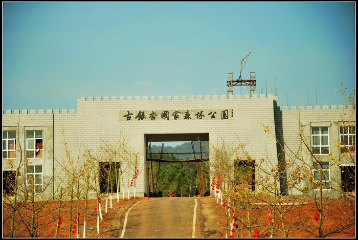 安陆河西新区规划图 安陆河西新区规划图