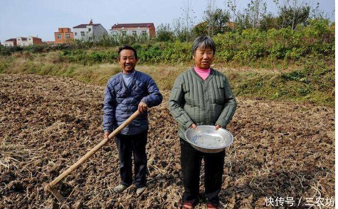 上半年没过,这3件事就难倒了农民,每个农村都有,该如何解决?