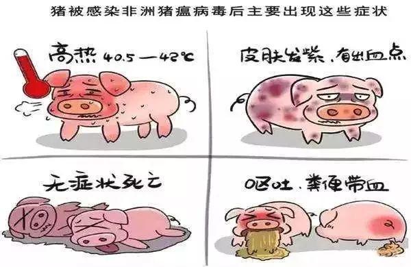 t017ed51ee20872f2f5.jpg?size=600x390