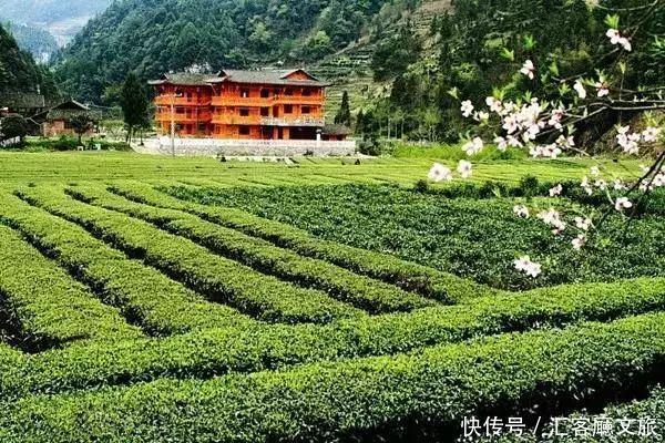 北纬30°上又一个神秘仙境，凭什么惊艳世界？