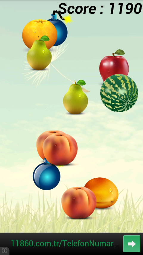 Fruit Catch截图4