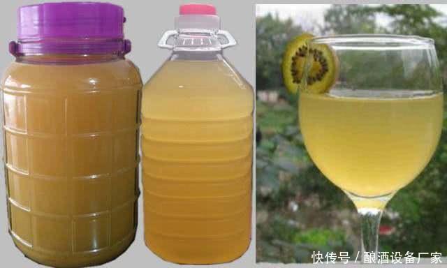 现代酿酒技术-猕猴桃酒制作方法以及详细步骤