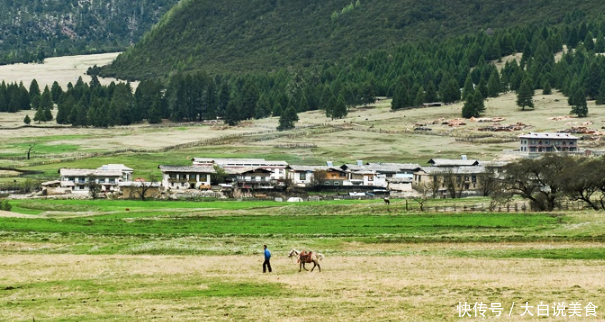 中国最富裕的村落,家家年收入达50万元,60年来