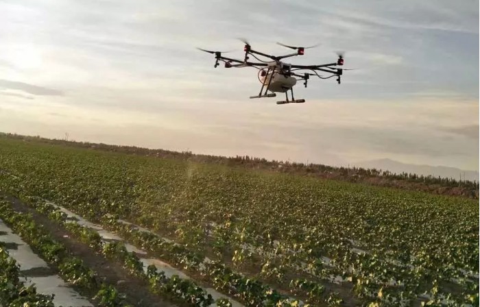 无人机创业!90后海归美女回家当农民,种地月入10万