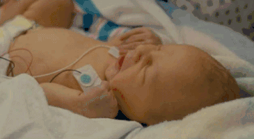 t018696da5aca121631.gif?size=365x200