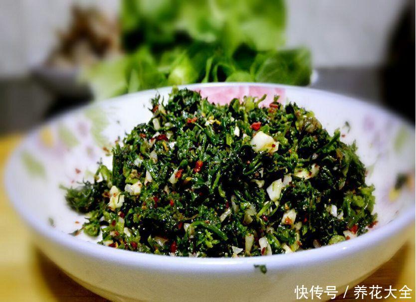 婆婆丁吃法与功效 t0186a3e9a1770e436c.jpg