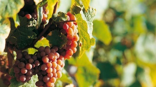 t01884d98d3327f009f.jpg?size=640x359