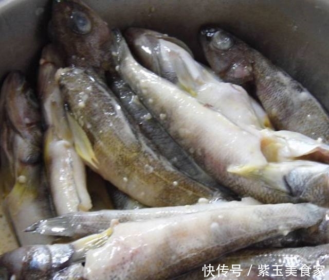 麻辣香酥南极鱼,又香又脆,让你忘不了的味儿 博发胜博发sbf868