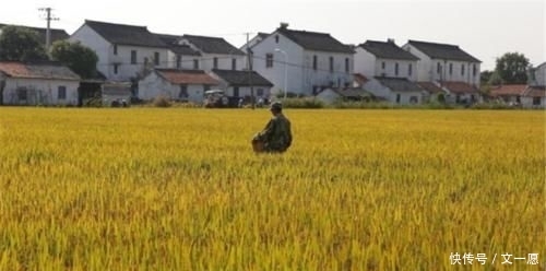 流转土地是什么意思