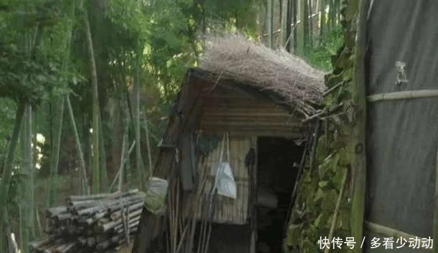 小伙深山发现草屋，里面住着一对中年夫妻，一打听身世佩服不已！