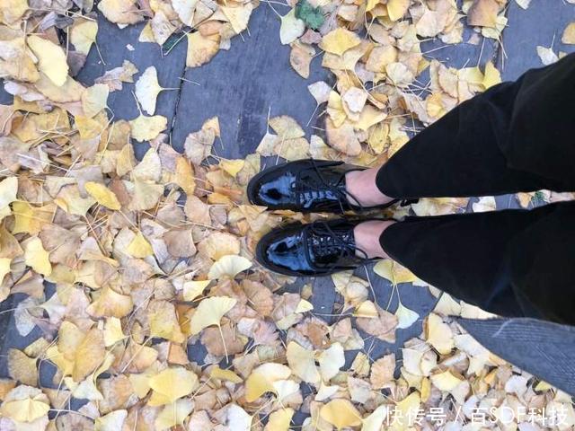 t0189f9283223c03a1c.jpg?size=640x480