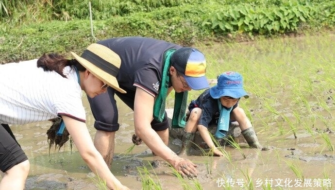 郭晶晶被曝怀三胎,霍启刚挂电话不回应,半月前