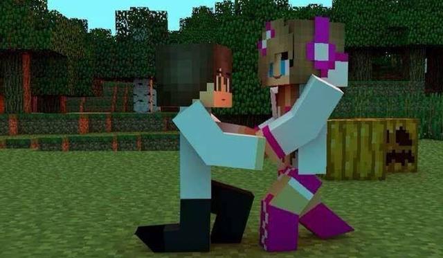 谣言止于智者,骨灰级玩家为你揭晓我的世界中萌新对MC的误解!