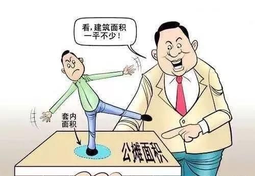 房子的\＂公摊面积\＂是哪个\＂王八羔子\＂在哪年定下的政策?