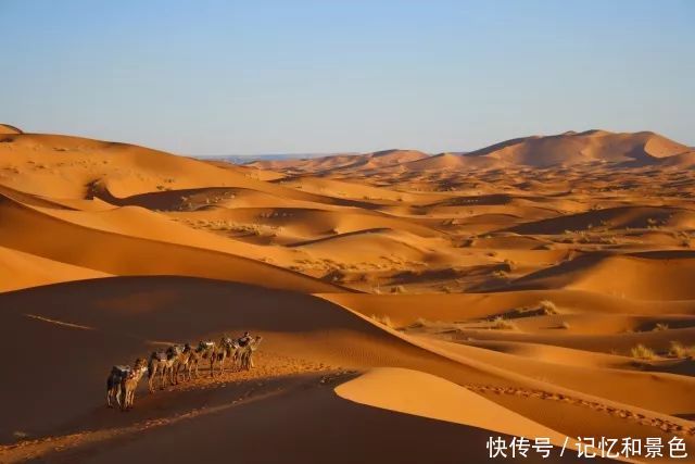 突尼斯：跨越地中海 走进撒哈拉