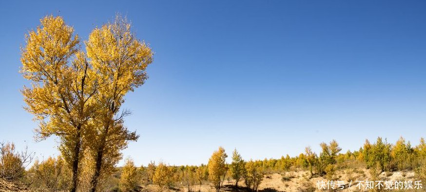 中国这个沙漠80绿洲,马铃薯亩产5吨,还上央视