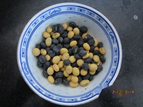 补肾最好的豆浆 t018f9f879a80b56596.jpg