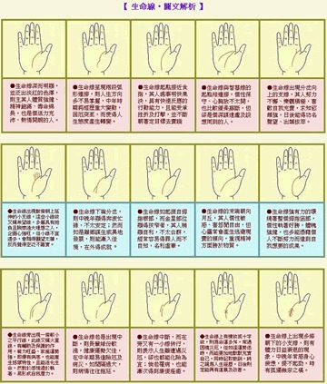手掌上,长短不一的生命线,都代表什么含义