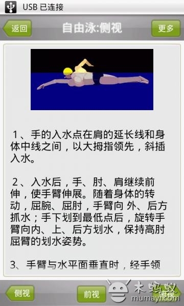 游泳动画教程截图2