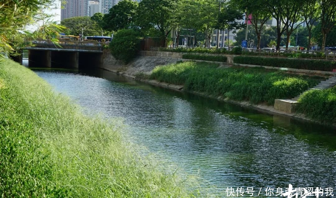 t0194ed42f789abb959.jpg?size=1080x635