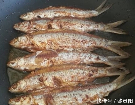 无论煎啥鱼,“最怕”先开火后倒油,学会这技巧,鱼肉金黄不破皮 日博备用网址