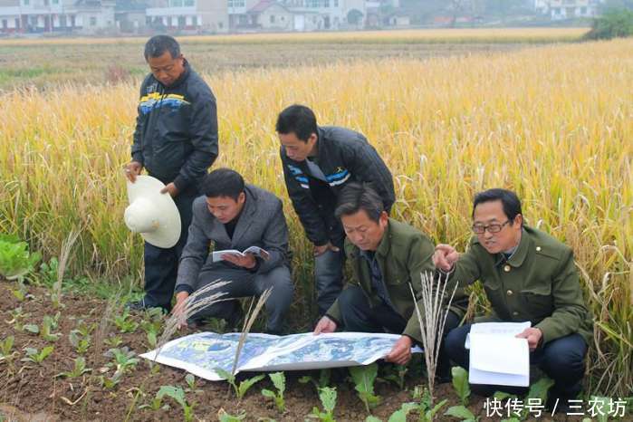 接下来几个月，农村有3件事，农民家家该办，错过损失可就大了！