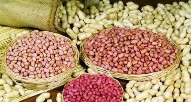 花生虽好,但不是人人都能吃,此类人吃了对身体