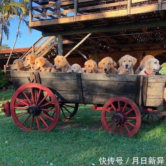 疗养院是干什么的