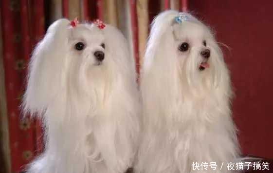 李姐笑话:小学的时候,奶奶是我班主任 澳门葡京真人平台