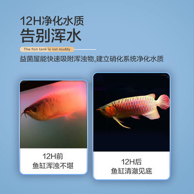 魚缸漏水補(bǔ)漏后過幾天能放水