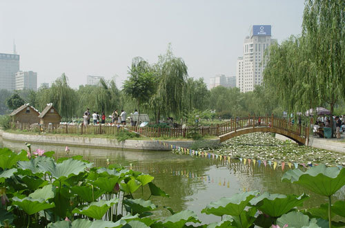 北京莲花池公园