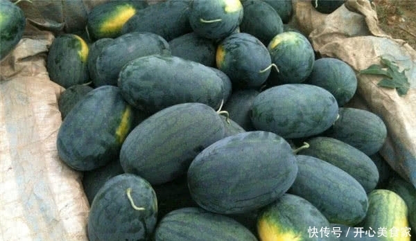 过去风靡市场的黑皮西瓜,为啥如今却没有了踪迹?原因大家想不到 ag真人试玩