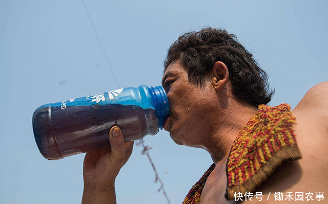 好消息!2018年农民不愁没活干,国家给钱让企业