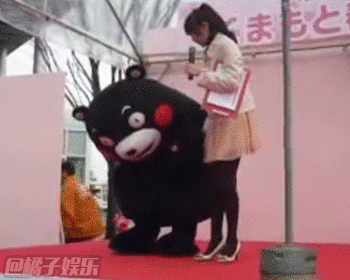 【gif】蠢萌熊本熊上线啦! - 360娱乐,你开心就好