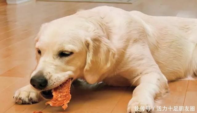 企业信息登记号