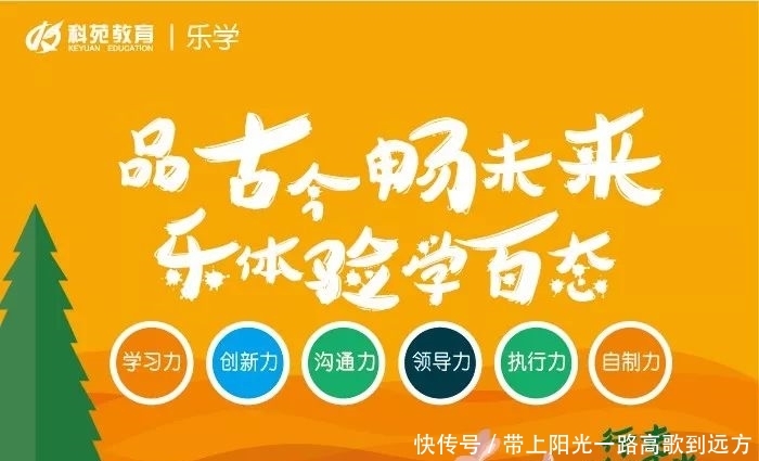 小学生交通安全常识