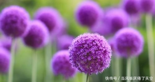 对感情很谨慎的4个星座女,不为一时的新鲜感,而是要长久的陪伴 88必发官网登入