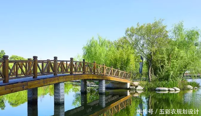 三十岁辞职后花三百万建生态农庄，半年后我发现90%的人第一步就错了