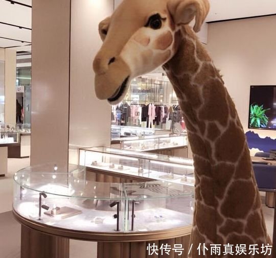 张馨予夫妇逛金店,在苏州商场逛街被遇见,出国