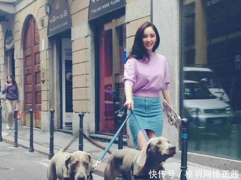 女星带货能力大比拼 杨幂同款鞋卖断货 赵薇同