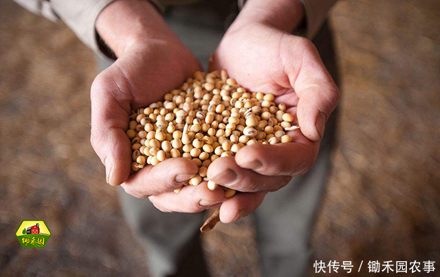 中美贸易摩擦,农产品行业开始震动,影响最大的是这几类!