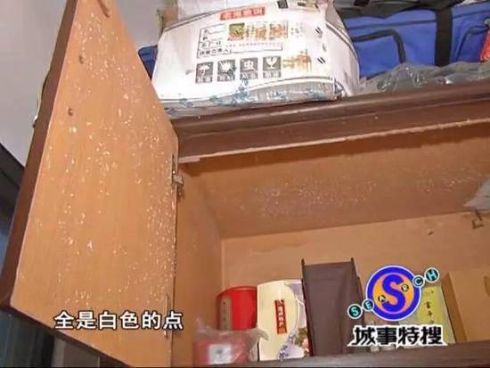 吓人!广州一豪宅被白蚁侵袭 女主人不敢回家 - 天地人 - 天地人和 吓人!广州一豪宅被白蚁侵袭 女主人不敢回家 - 天地人 - 天地人和