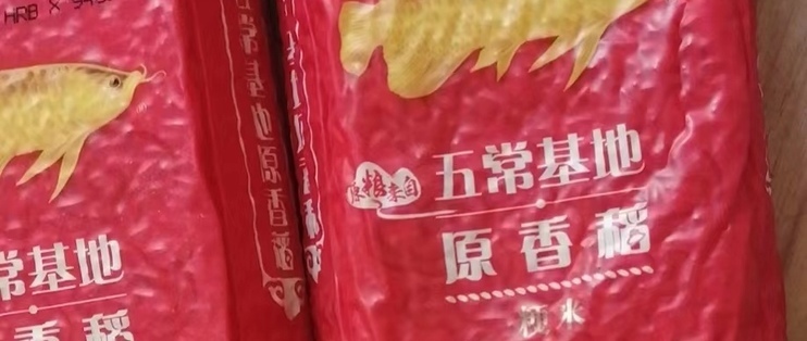 魚鱗炸開真惡心圖片：觀賞魚爛尾爛鰭爛鱗用什么藥